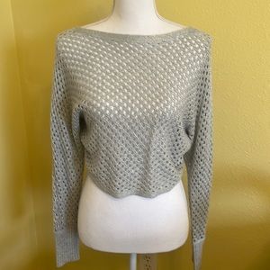 Express extra small light, gray, silver shimmer, long sleeve crop top